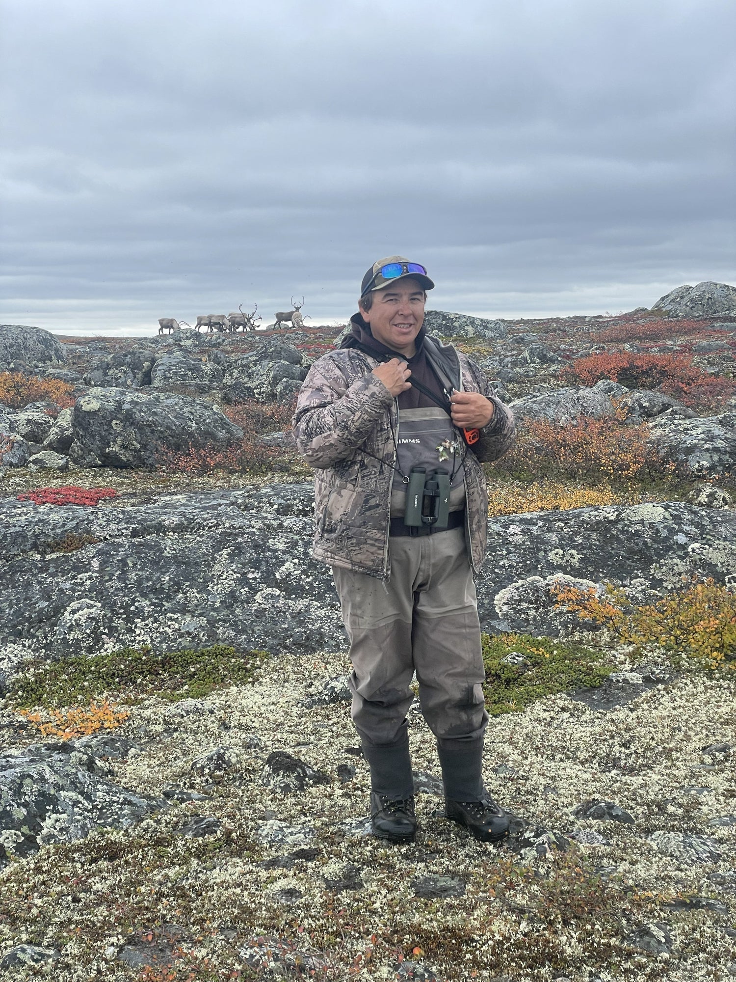 Caribou migrateur : vivre la migration dans le Nord du Québec