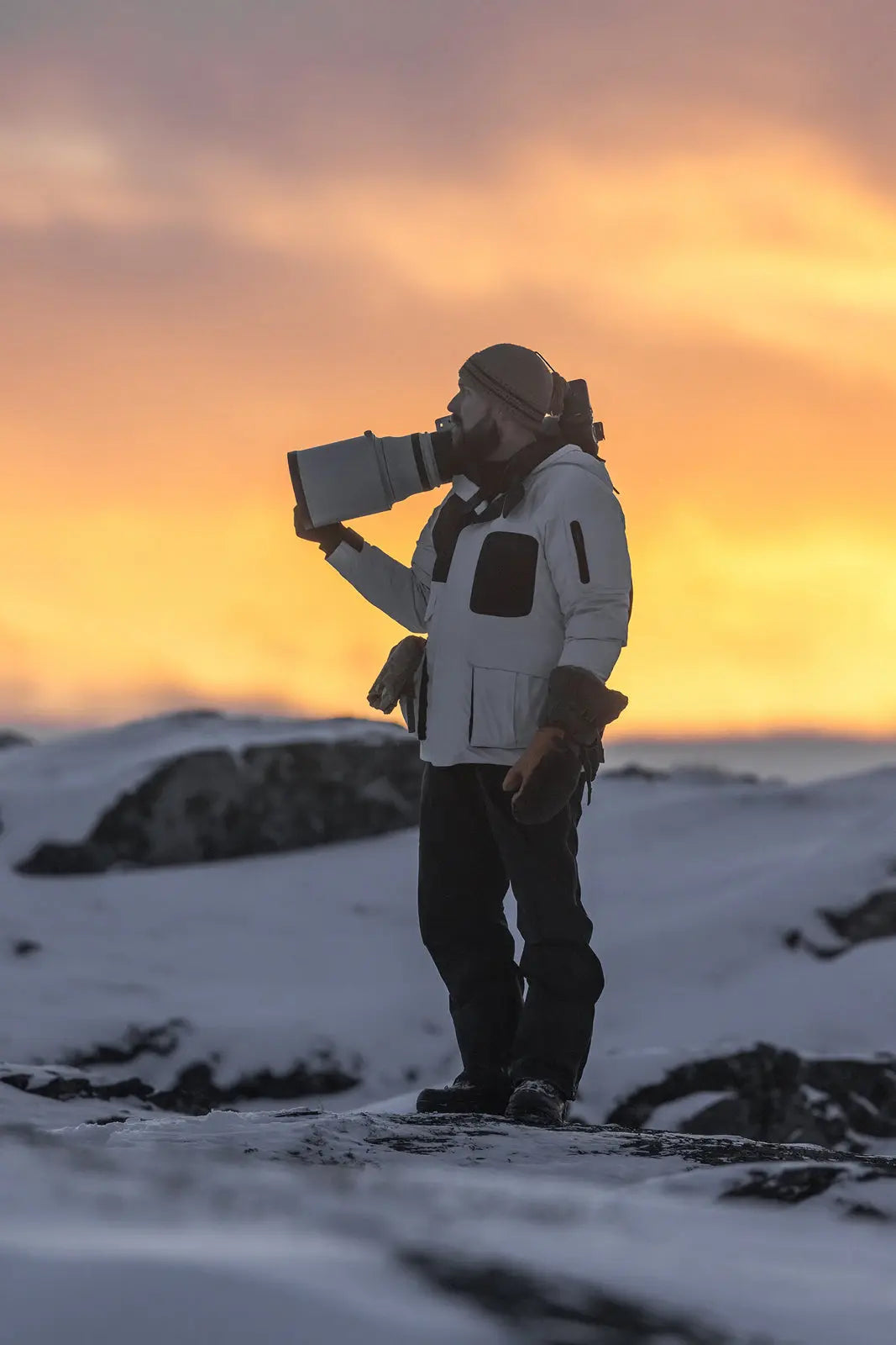 Photographe animalier au Québec : la passion de la faune sauvage selon Jean-Simon Bégin Jean-Simon Bégin - Photographe Animalier et Artiste Peintre