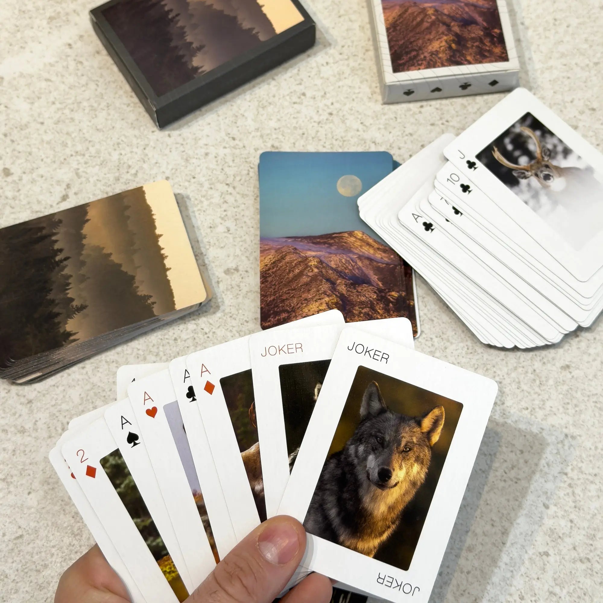 Jeu de cartes animaux du Canada et Québec | Cartes illustrées Jean-Simon Bégin - Photographe Animalier et Artiste Peintre