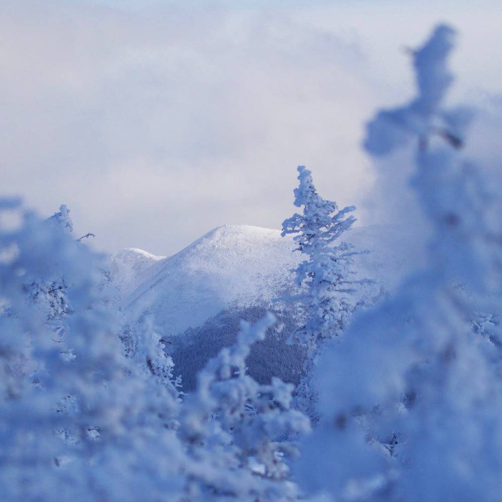 Paysages du Québec - Hiver