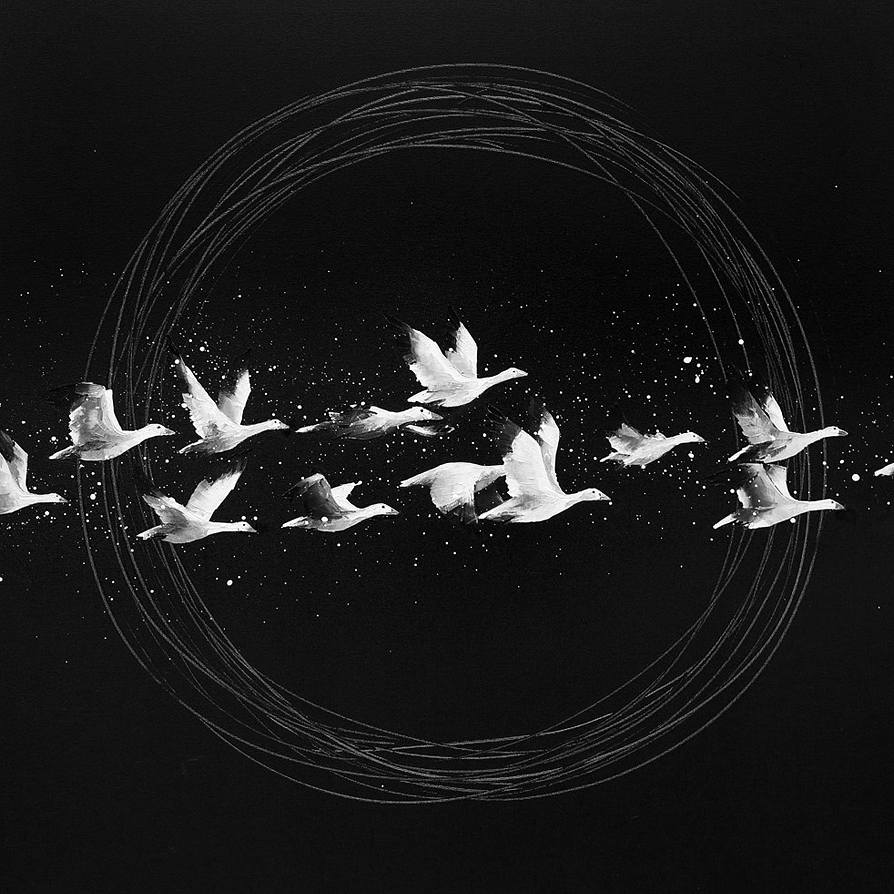 Plume