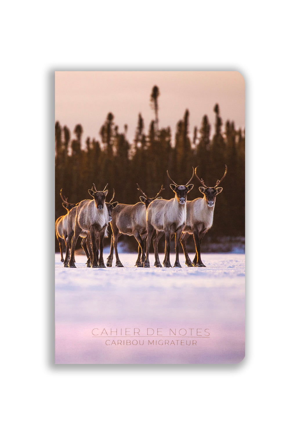 Cahier de notes - Caribou