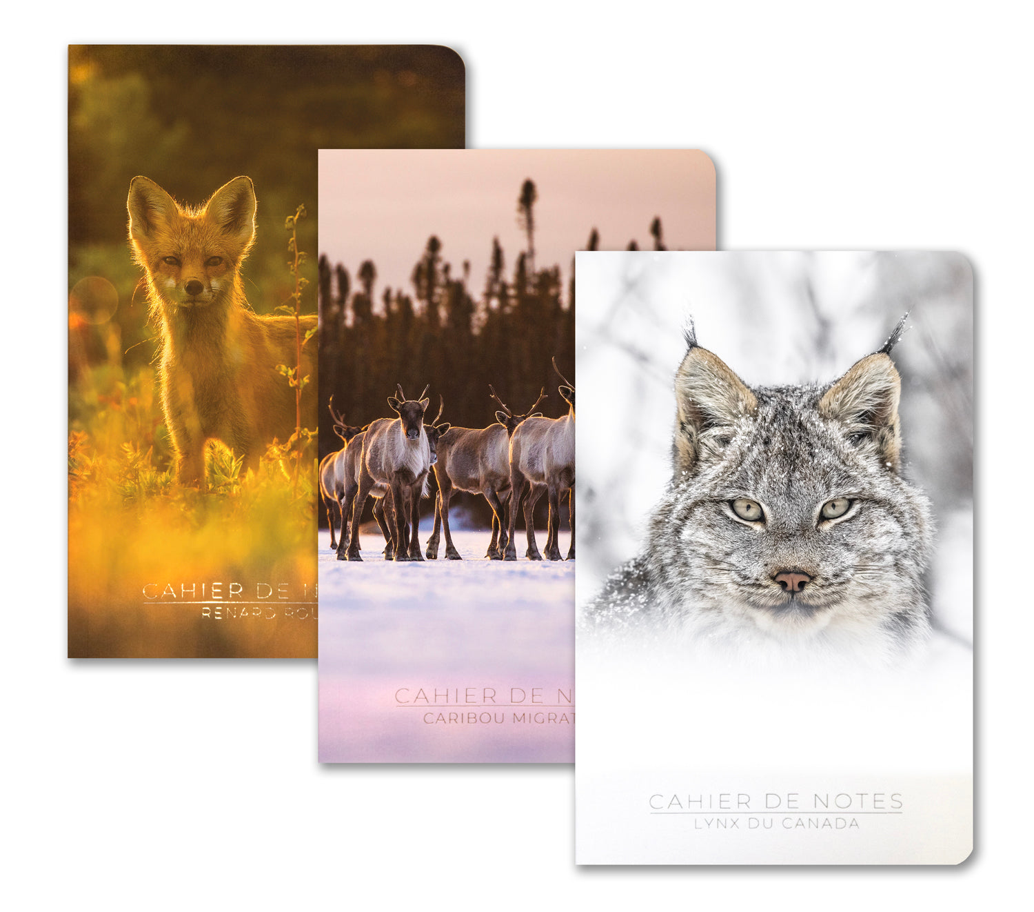 Trio de cahiers de notes