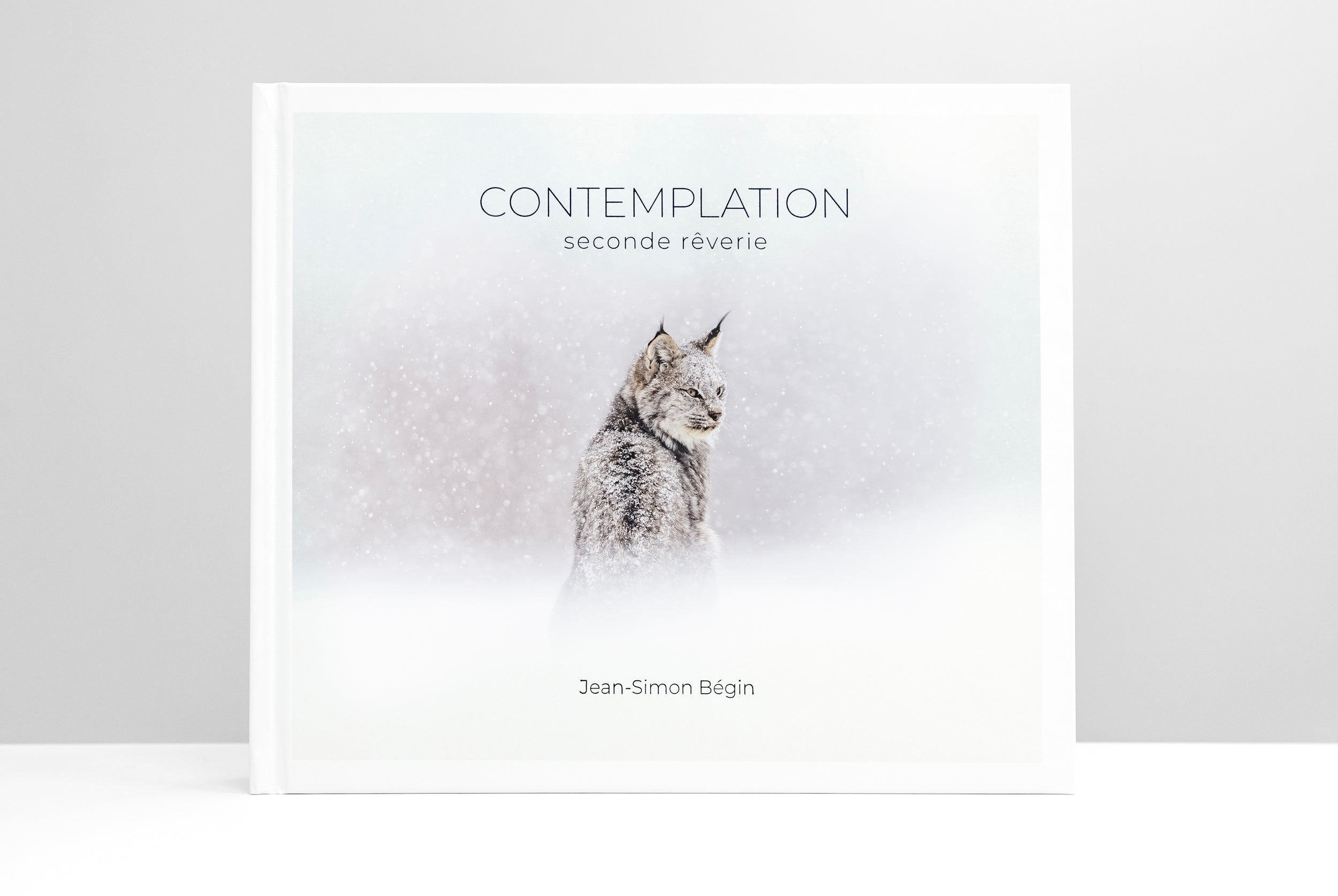 Contemplation - seconde rêverie