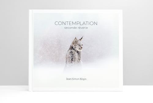 Contemplation - seconde rêverie