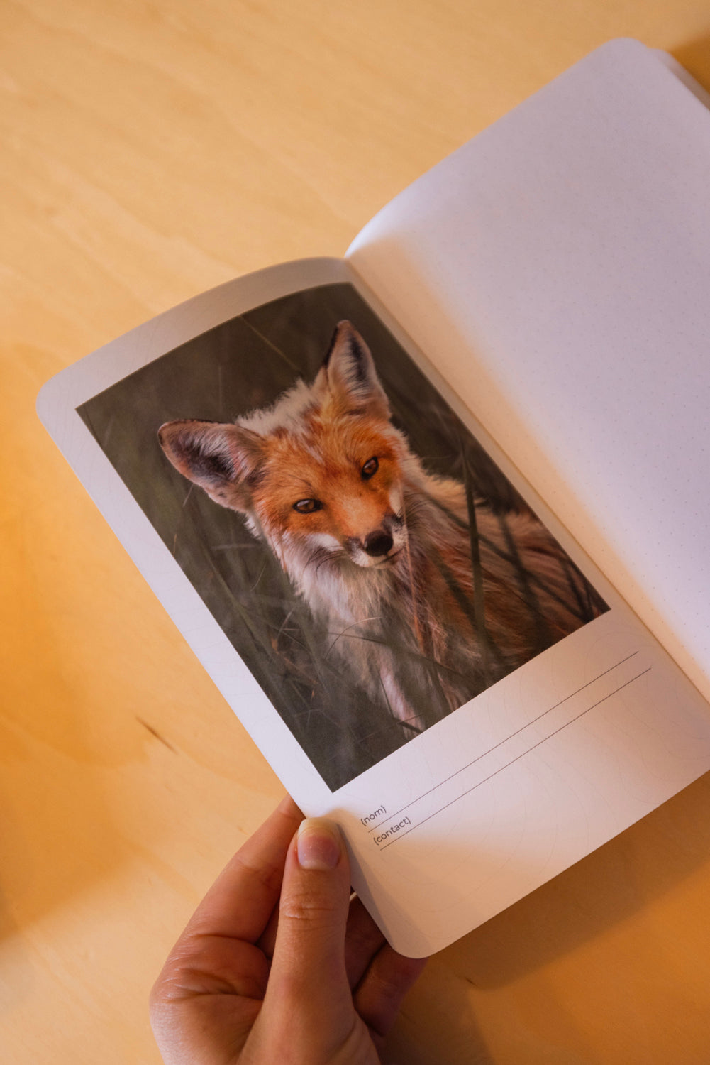 Cahier de notes - Renard