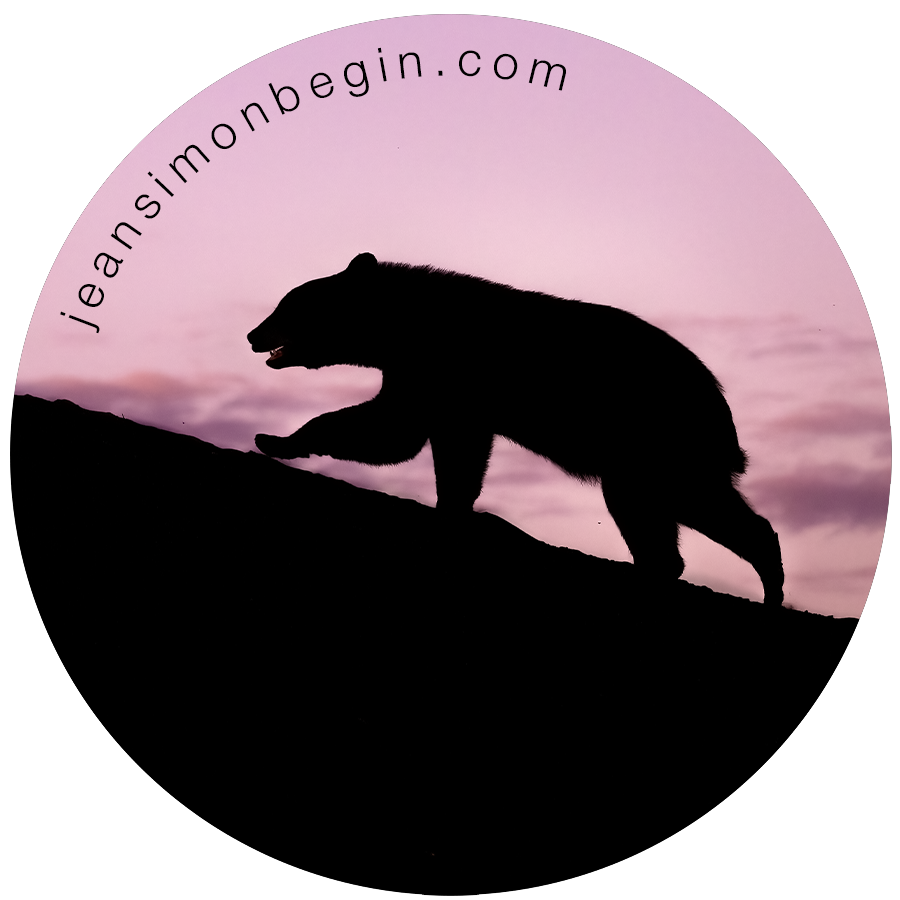 Autocollant - Ours noir