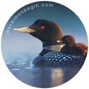 Autocollant - Plongeon huard