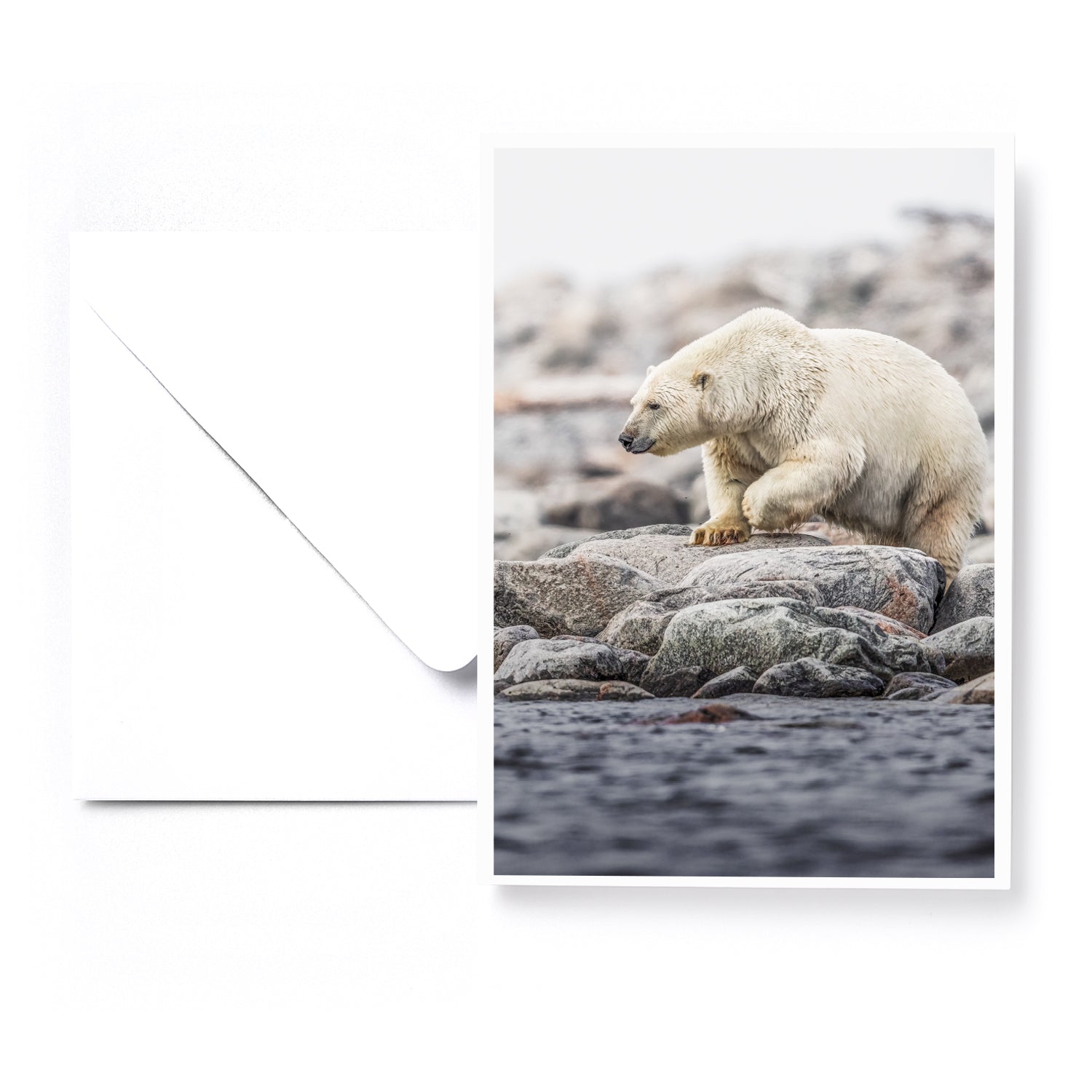 Ensemble de 5 cartes de souhaits - Artique été