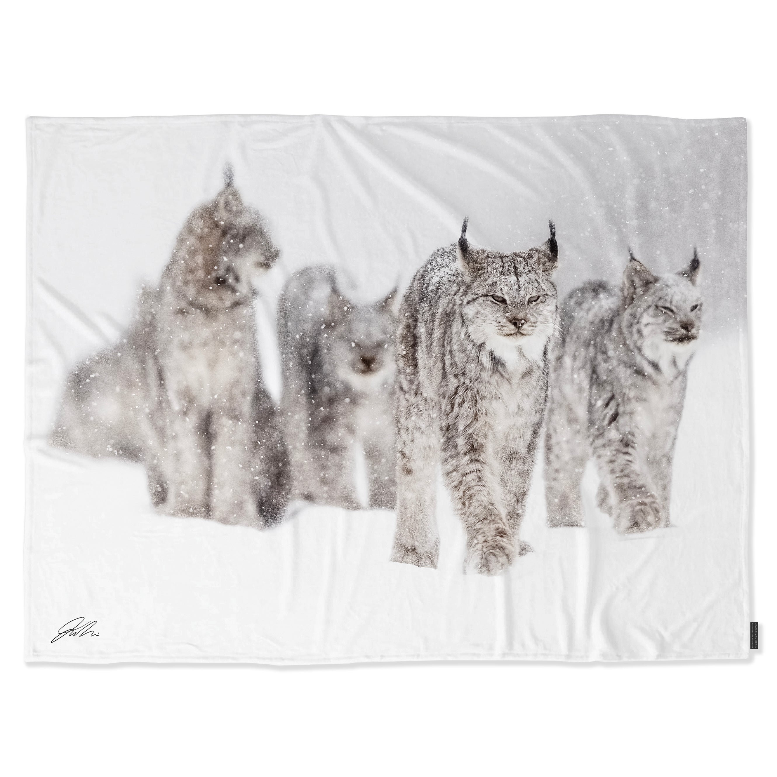 Couverture polaire - Lynx