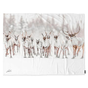 Couverture polaire - Caribou