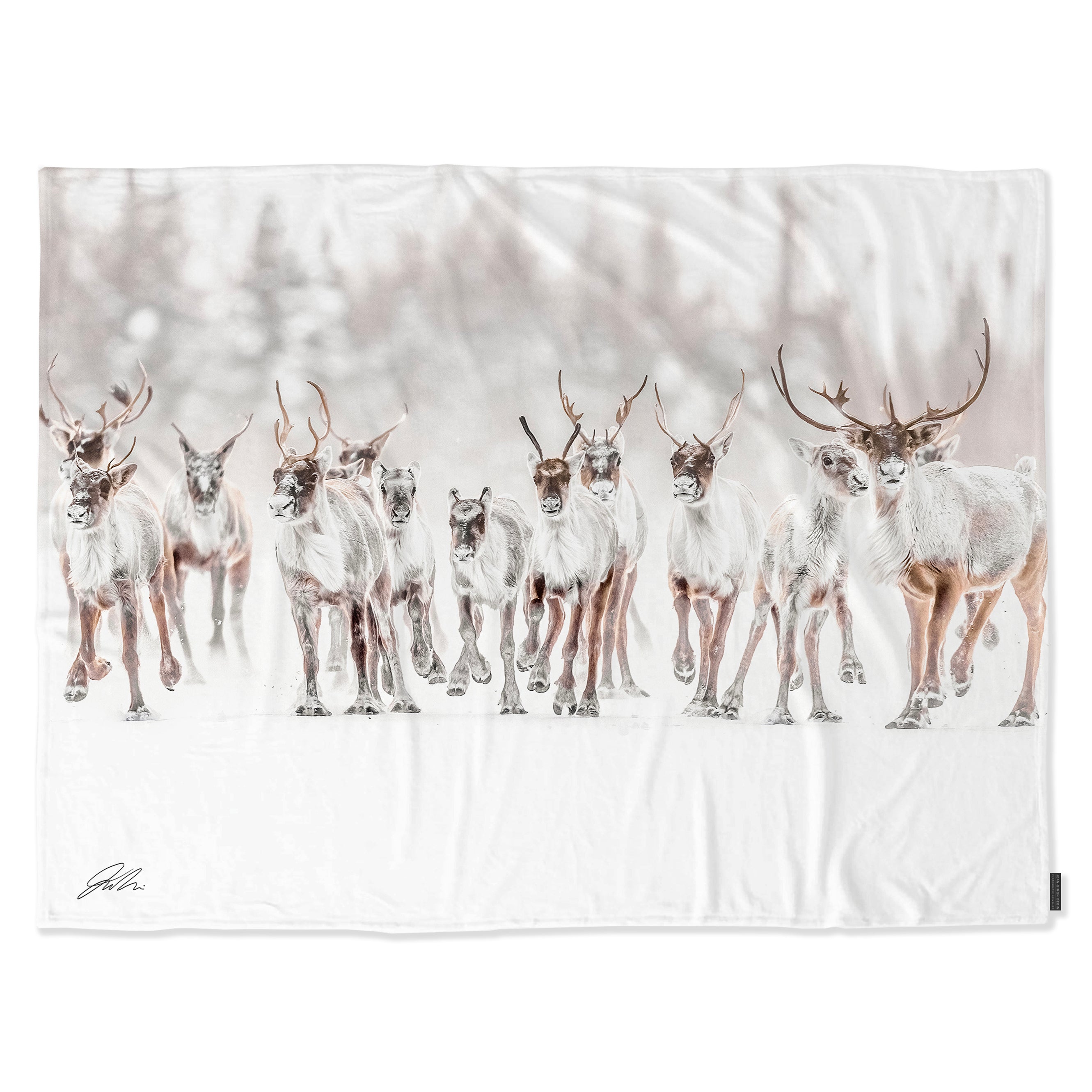 Couverture polaire - Caribou