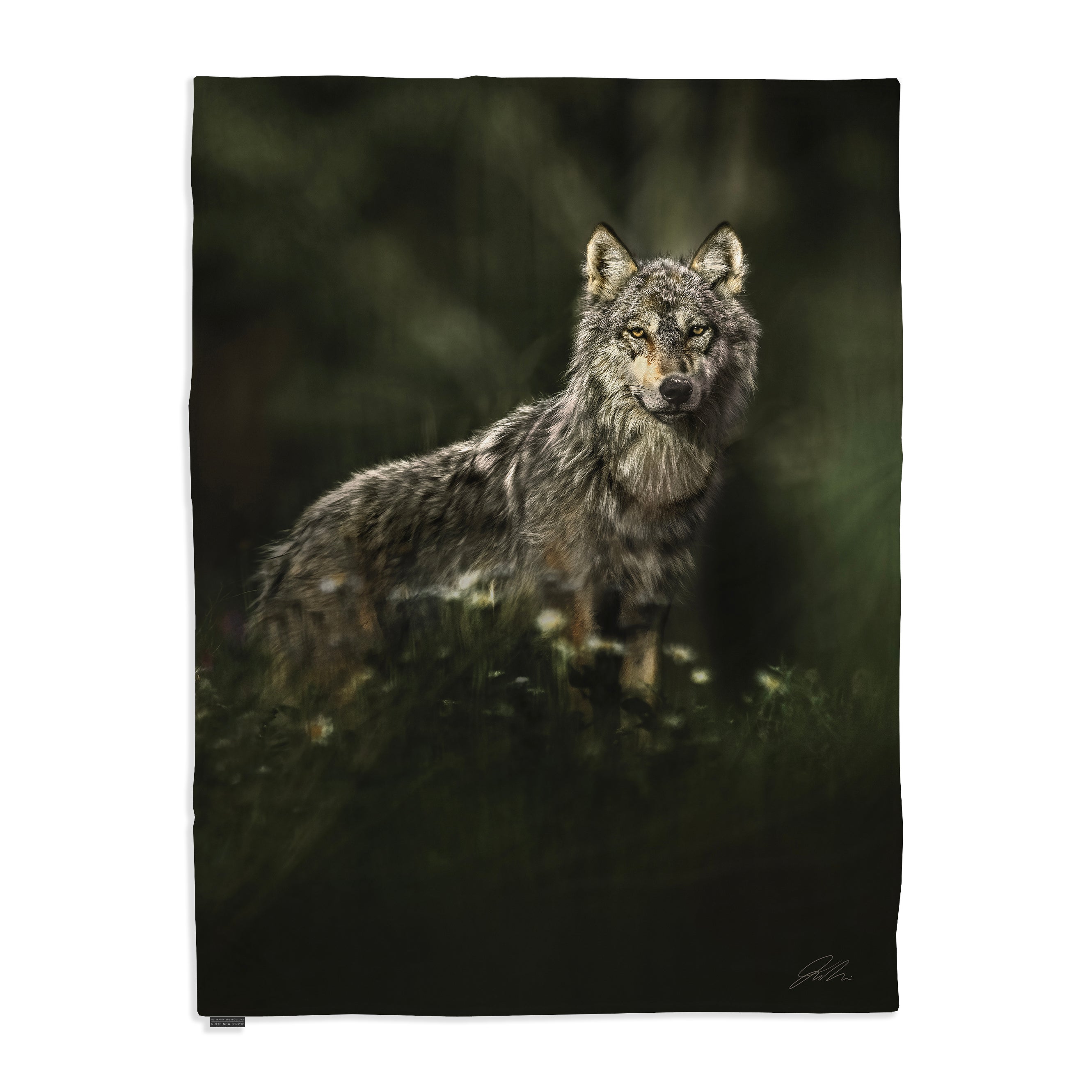 Couverture polaire - Loup