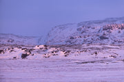 Paysage Nunavik - Hiver 030