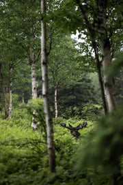 Orignal - Été 0140