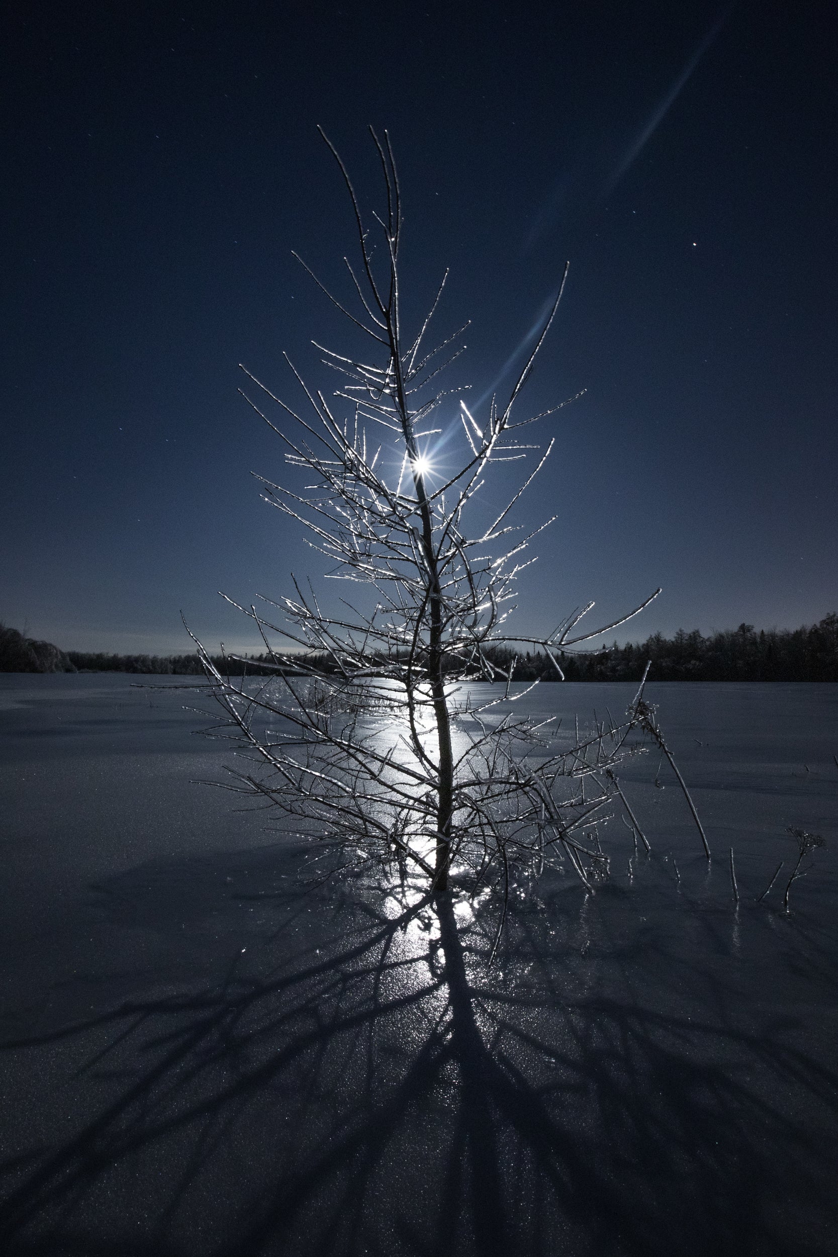 Paysage du Québec - Hiver 001