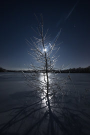 Paysage du Québec - Hiver 001