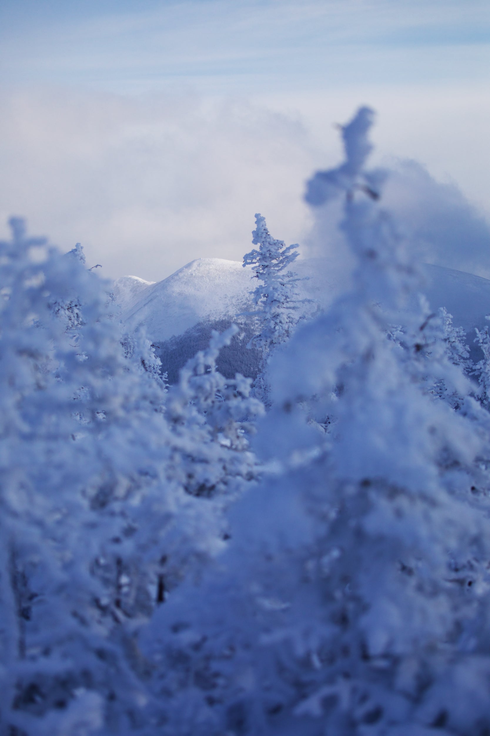 Paysage du Québec - Hiver 002