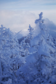 Paysage du Québec - Hiver 002