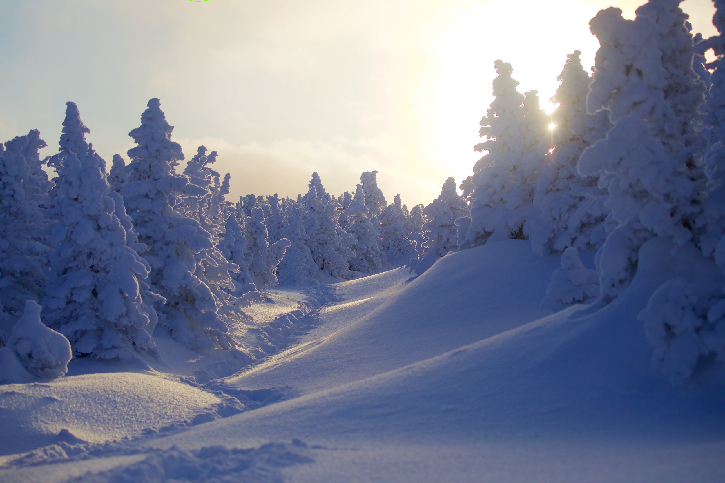 Paysage du Québec - Hiver 003