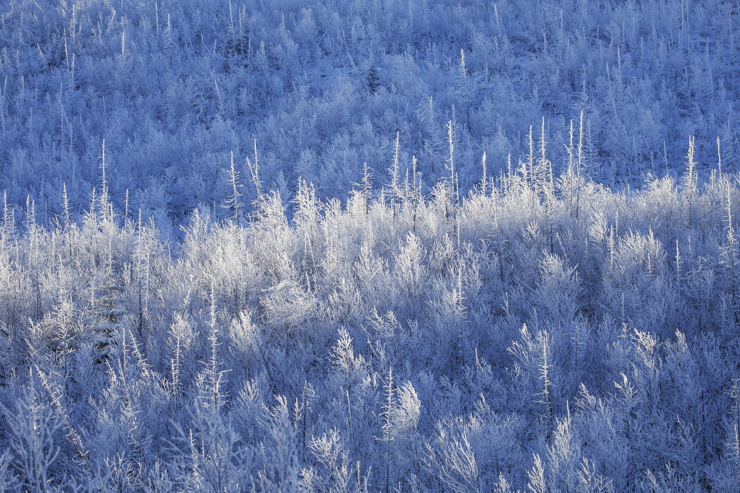 Paysage du Québec - Hiver 005