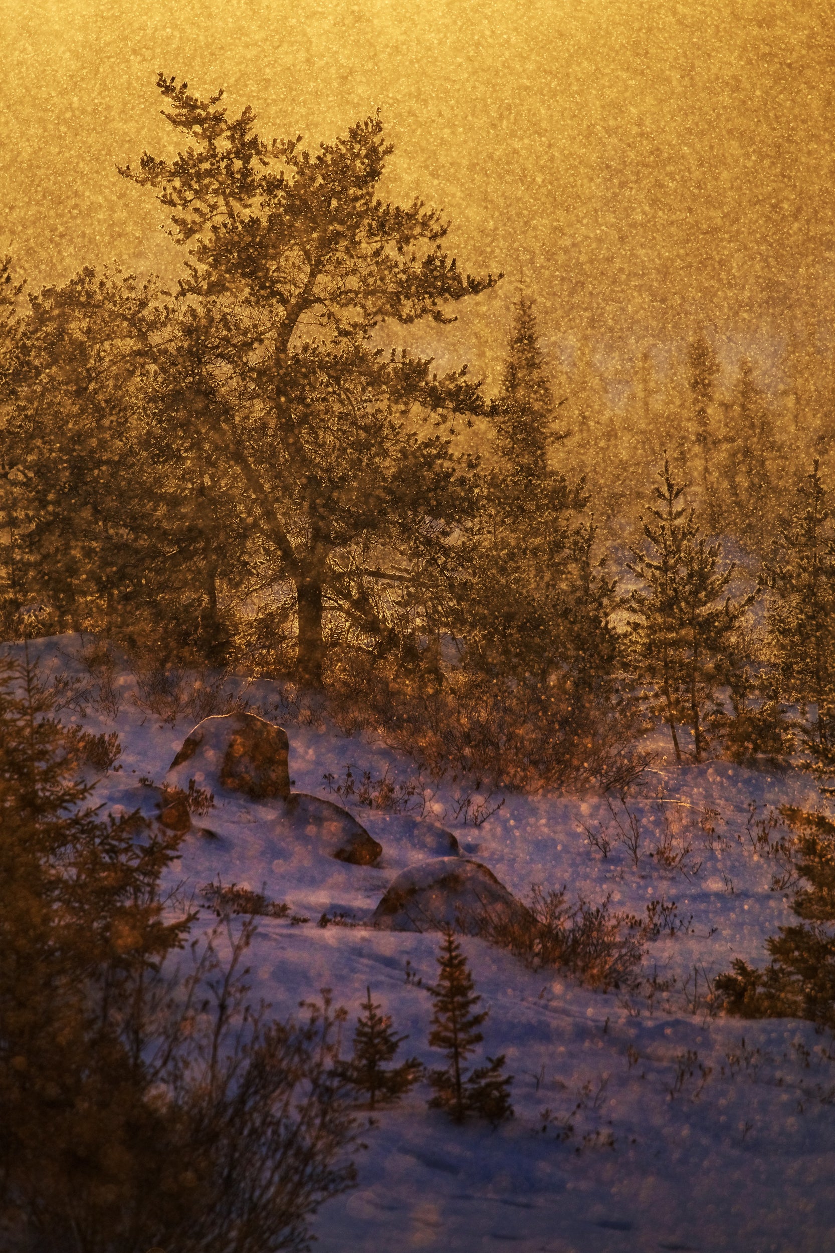 Paysage du Québec - Hiver 008