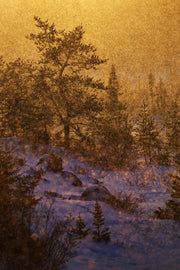 Paysage du Québec - Hiver 008