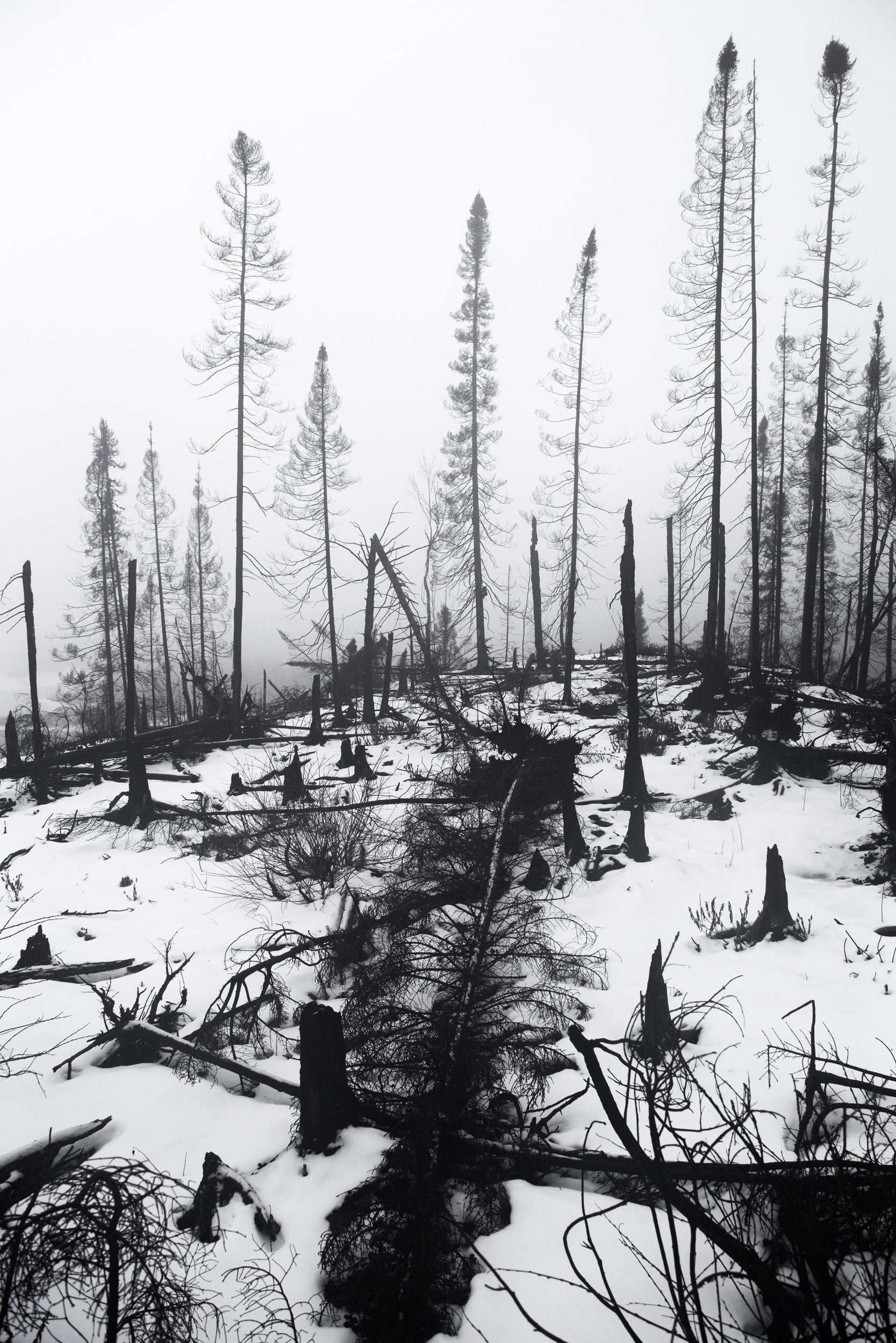 Paysage du Québec - Hiver 009