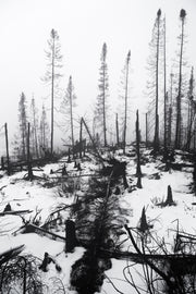 Paysage du Québec - Hiver 009