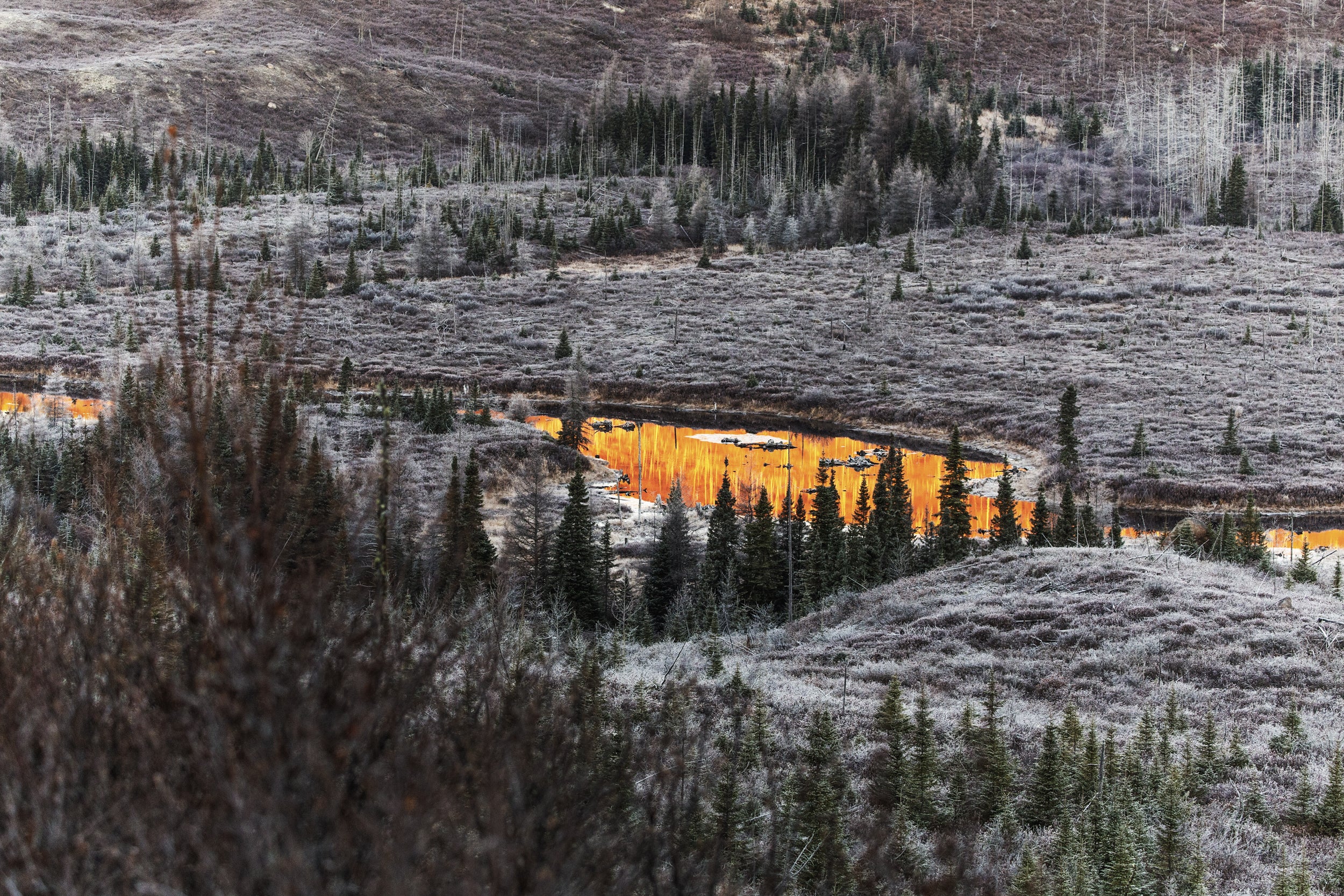 Paysage du Québec - Hiver 011
