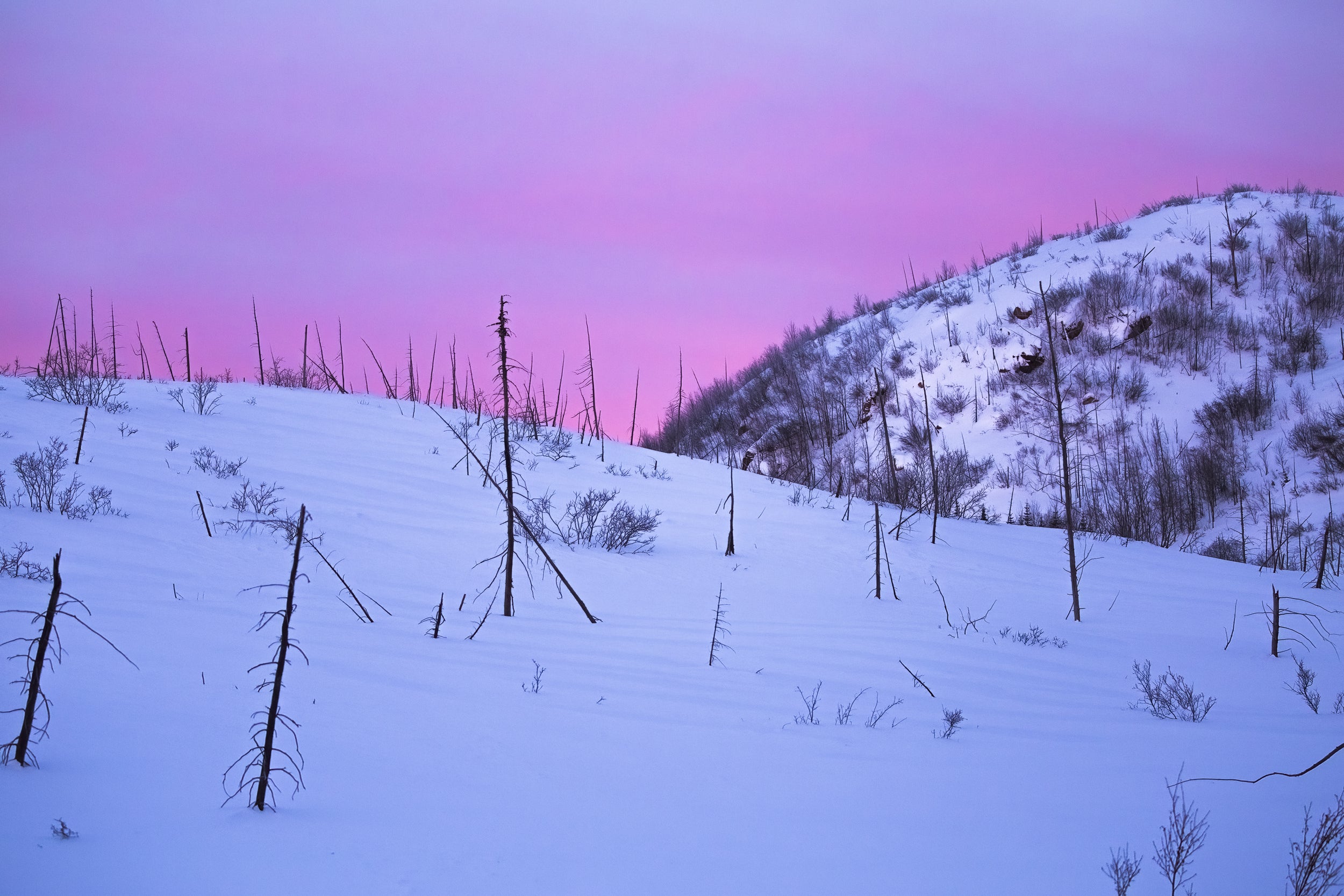 Paysage du Québec - Hiver 018