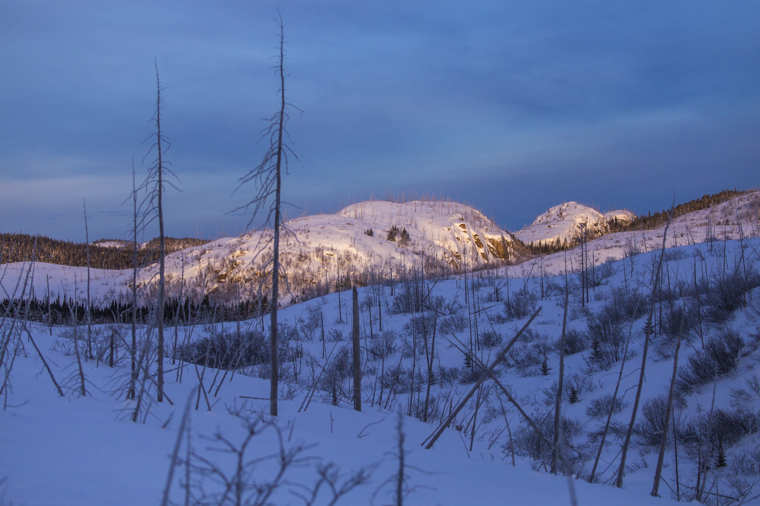 Paysage du Québec - Hiver 019