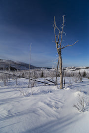 Paysage du Québec - Hiver 023