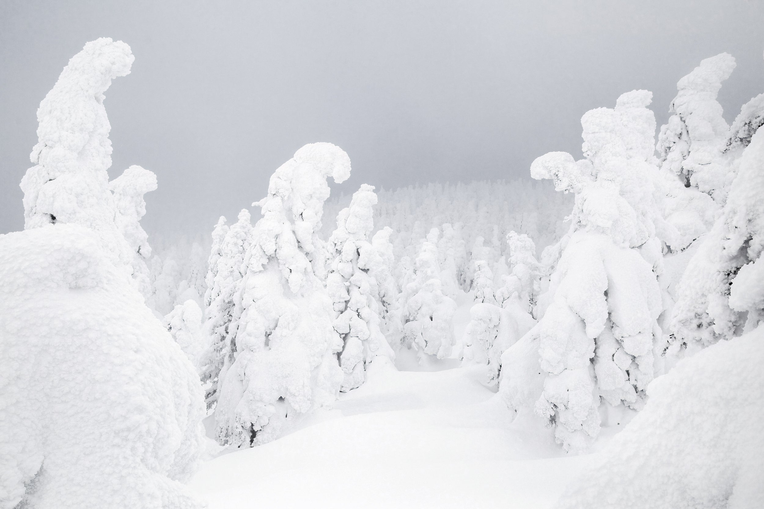 Paysage du Québec - Hiver 026