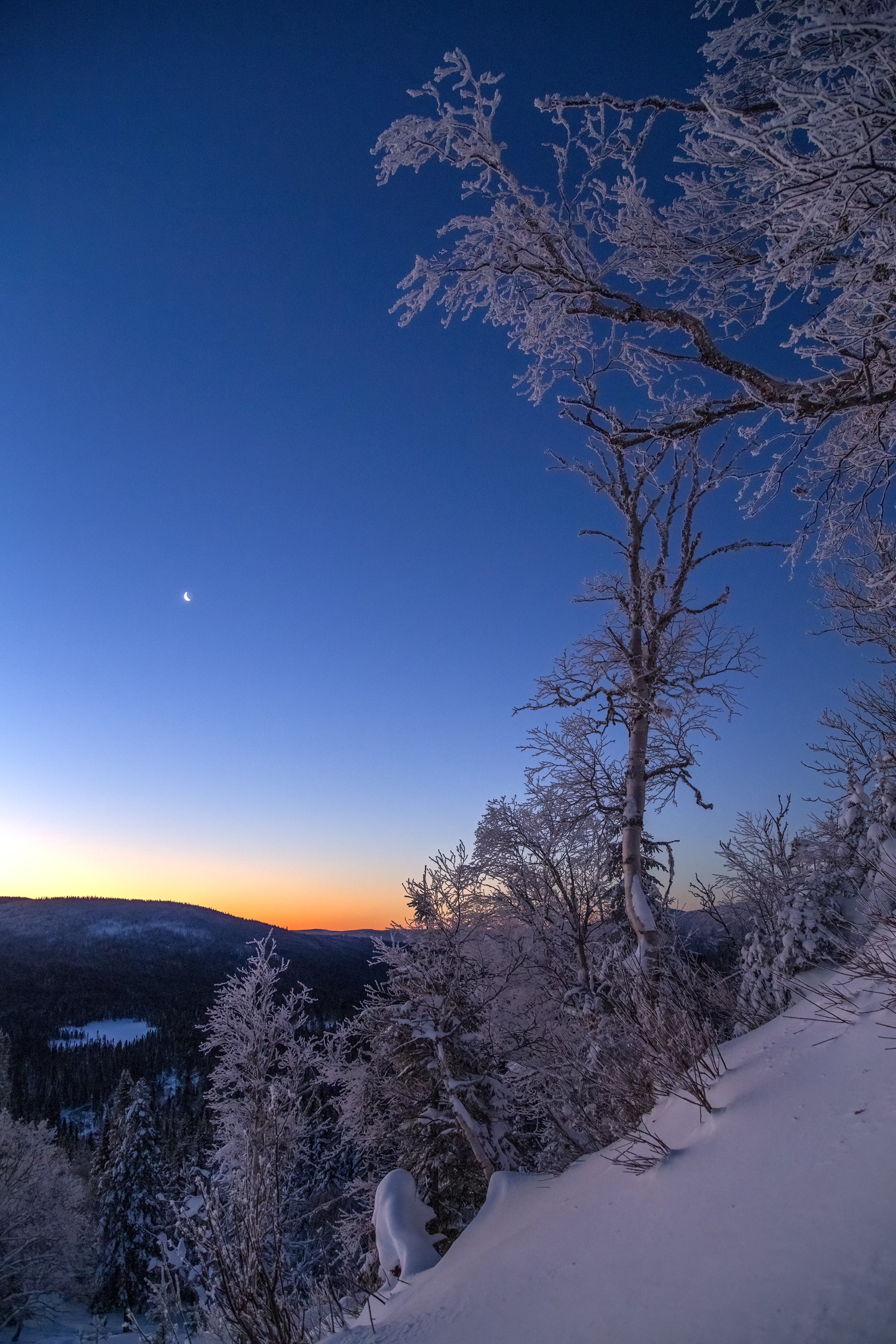 Paysage du Québec - Hiver 028