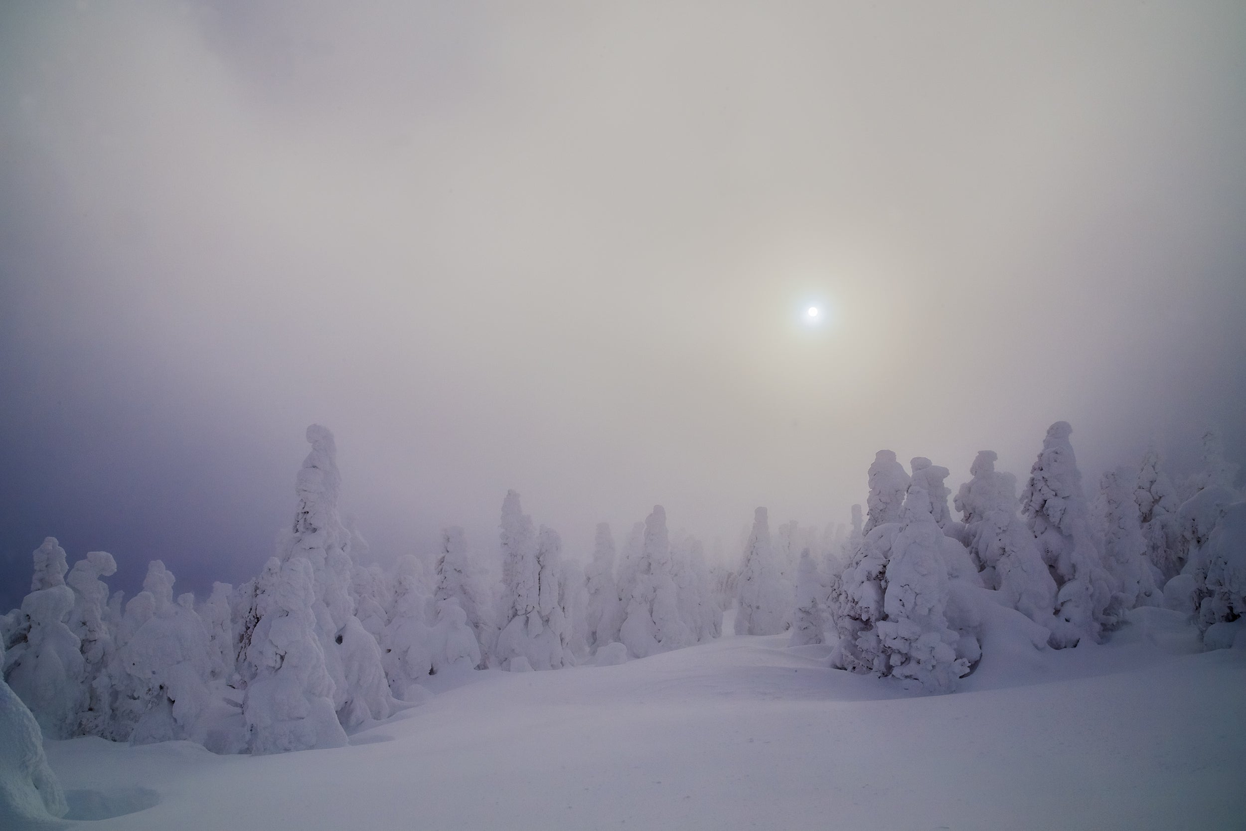 Paysage du Québec - Hiver 029