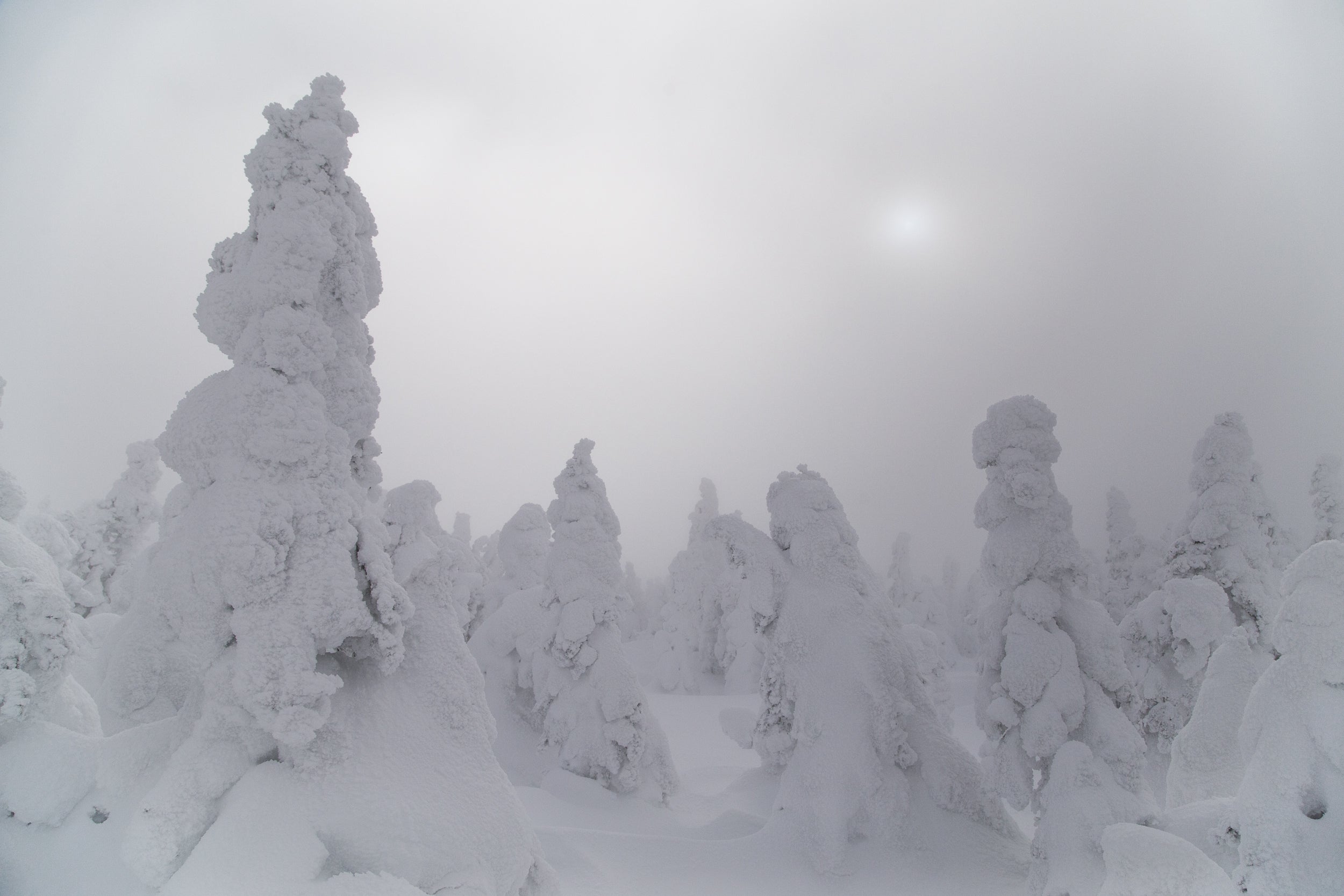 Paysage du Québec - Hiver 030