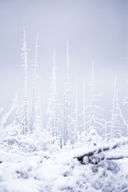 Paysage du Québec - Hiver 032