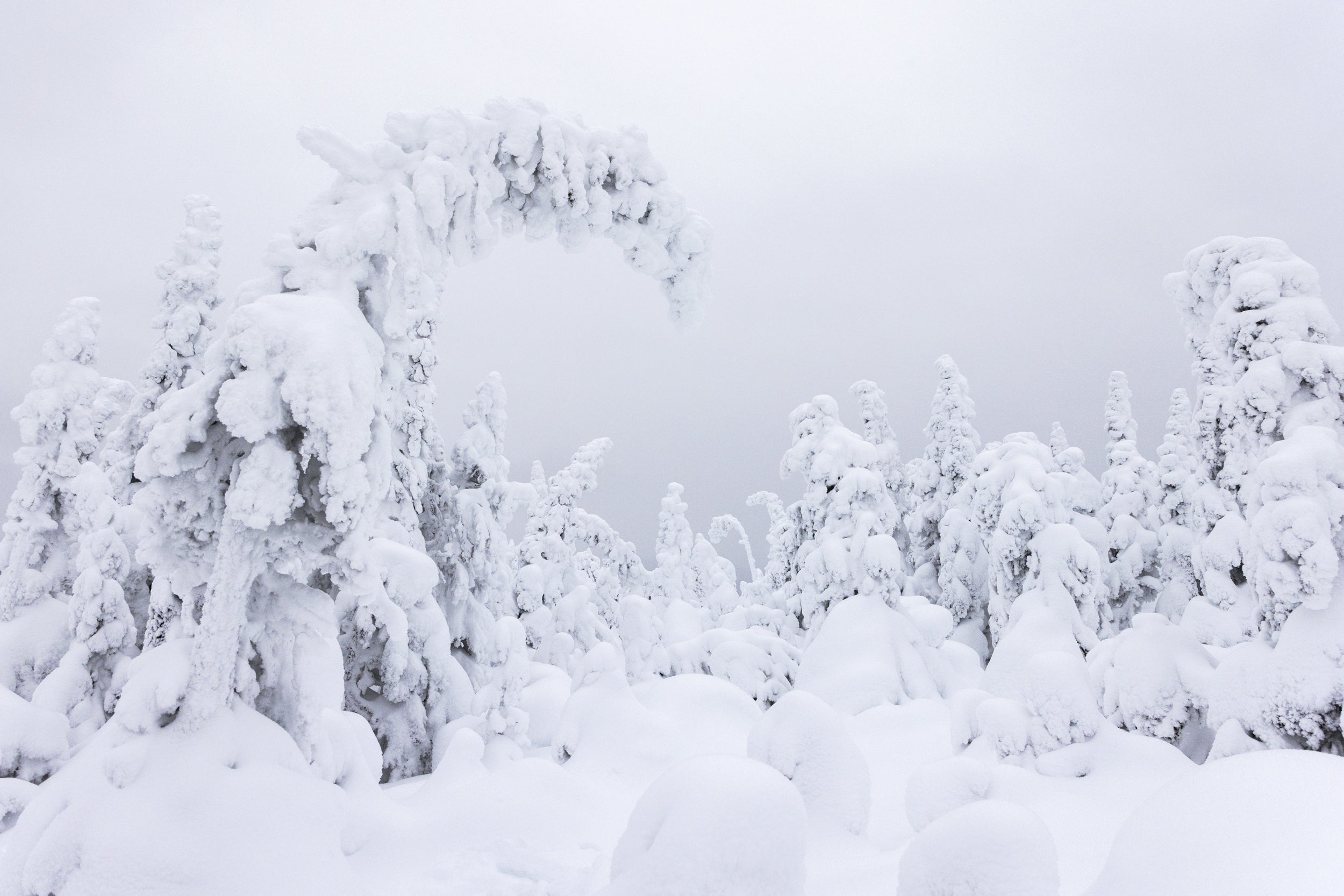 Paysage du Québec - Hiver 046