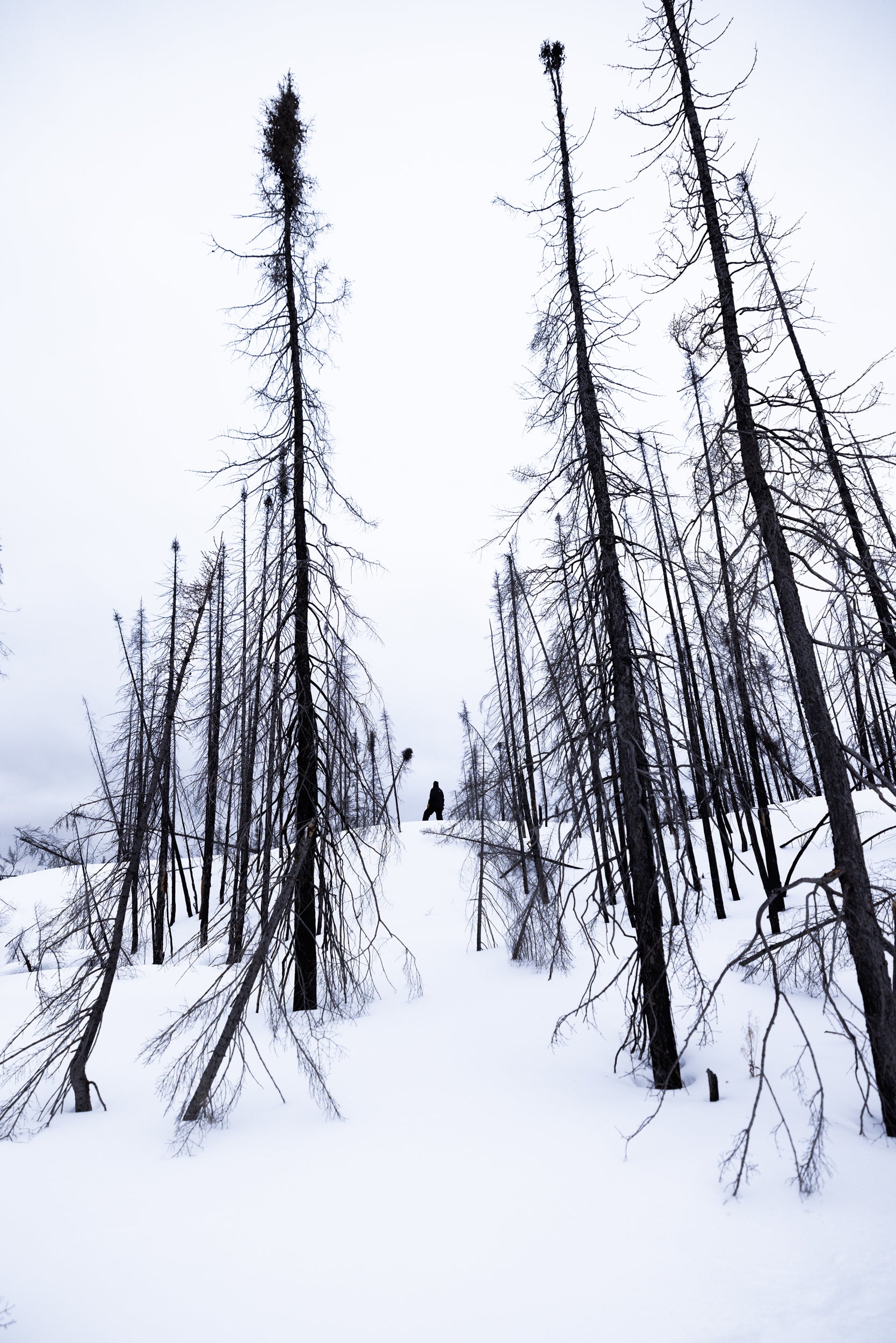 Paysage du Québec - Hiver 053