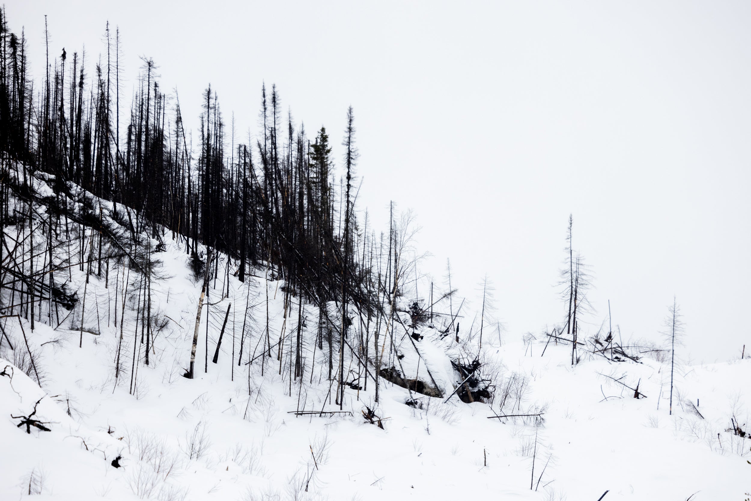Paysage du Québec - Hiver 054