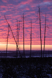 Paysage du Québec - Hiver 066
