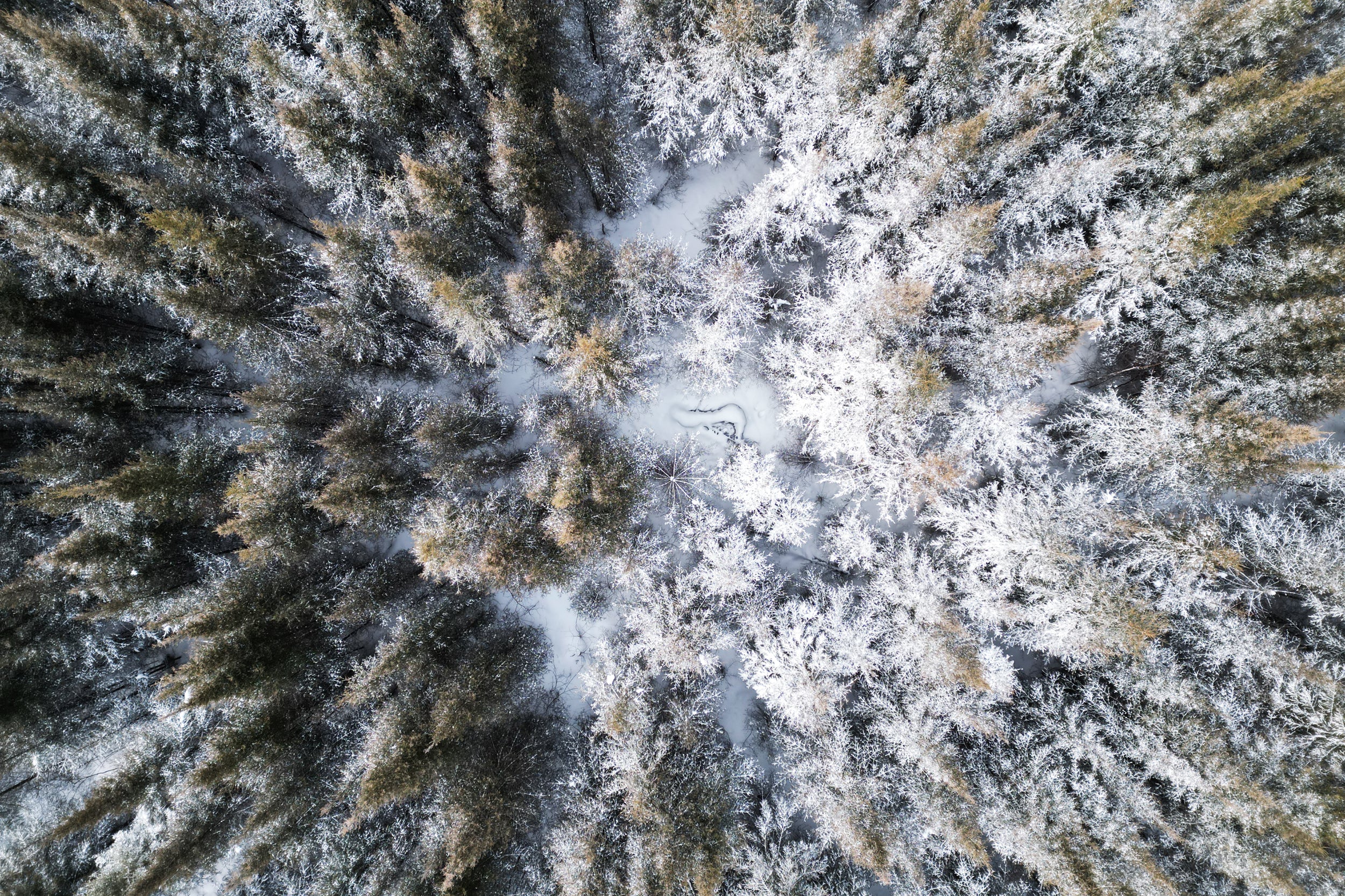 Paysage du Québec - Hiver 074