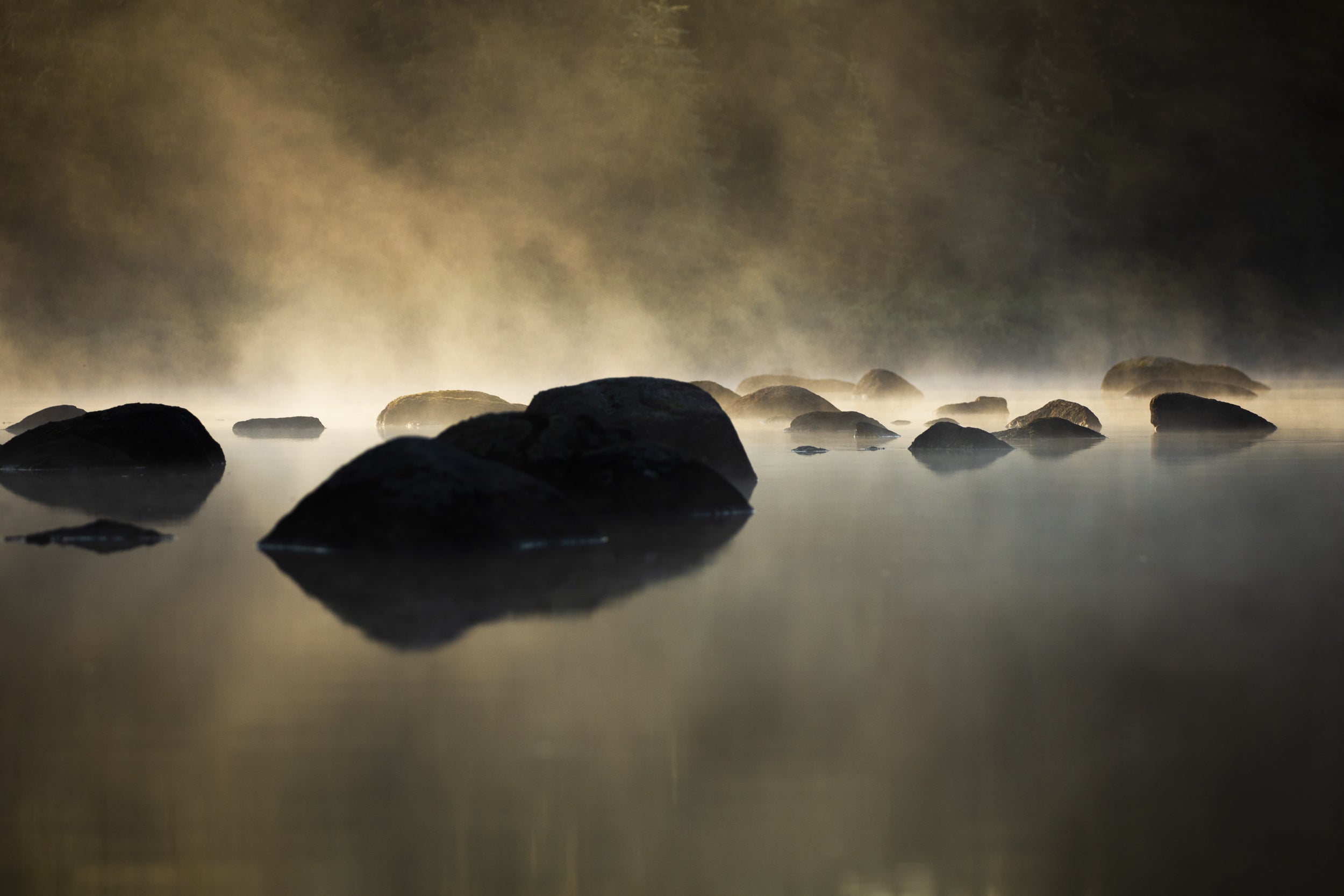 Paysage du Québec - Été 002