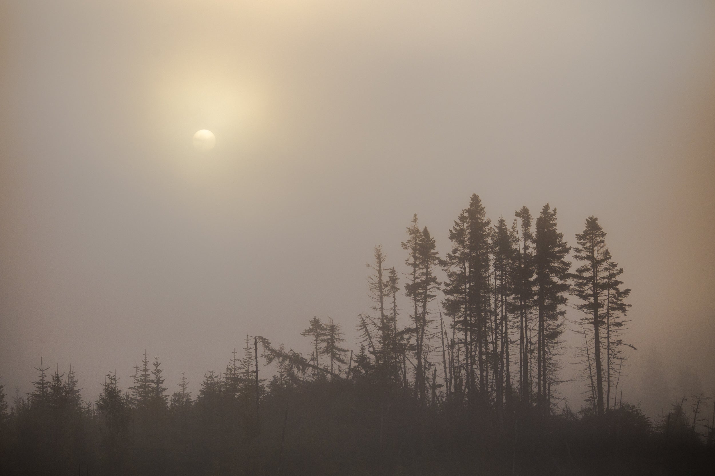 Paysage du Québec - Été 004