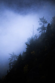 Paysage du Québec - Été 006