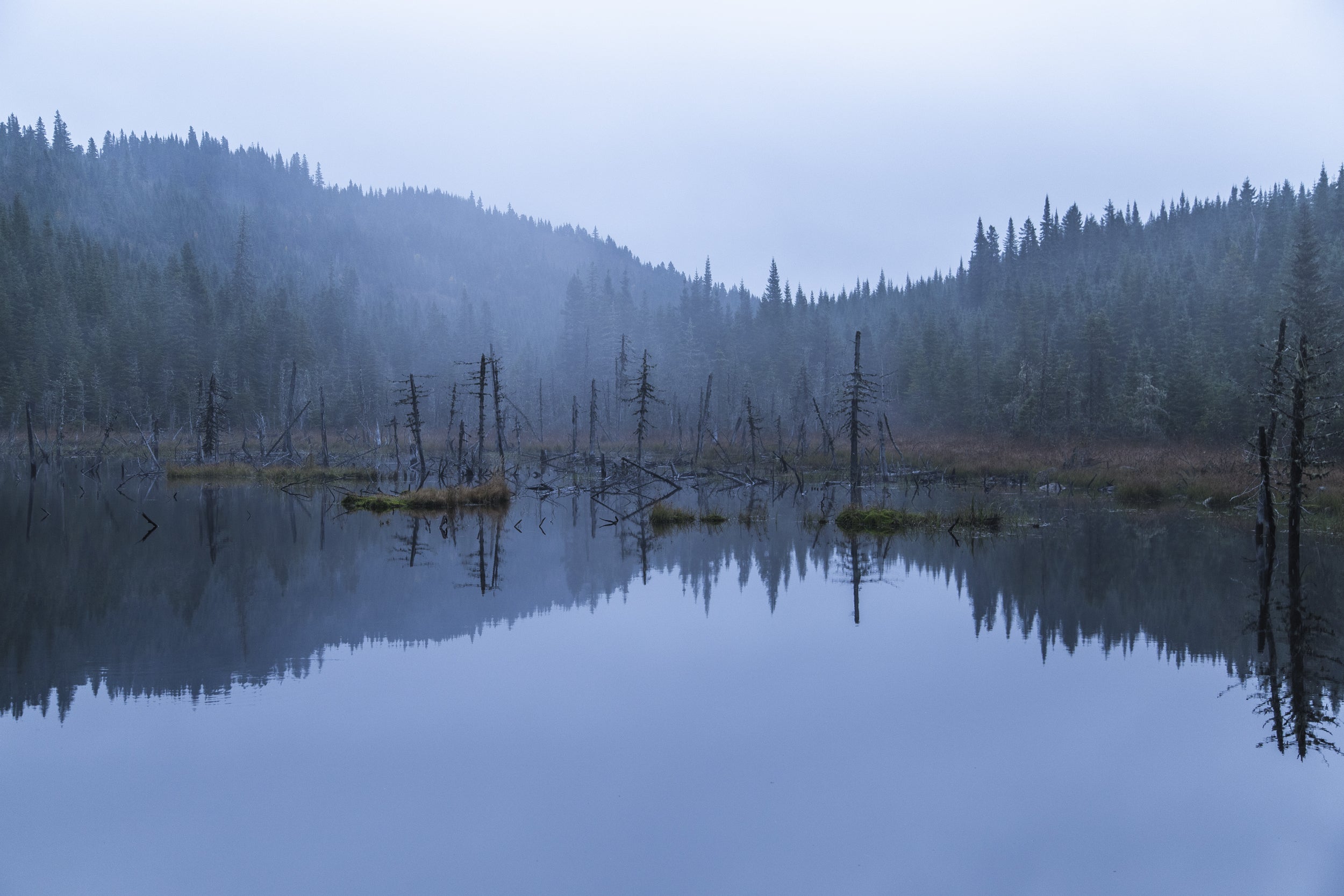 Paysage du Québec - Été 007