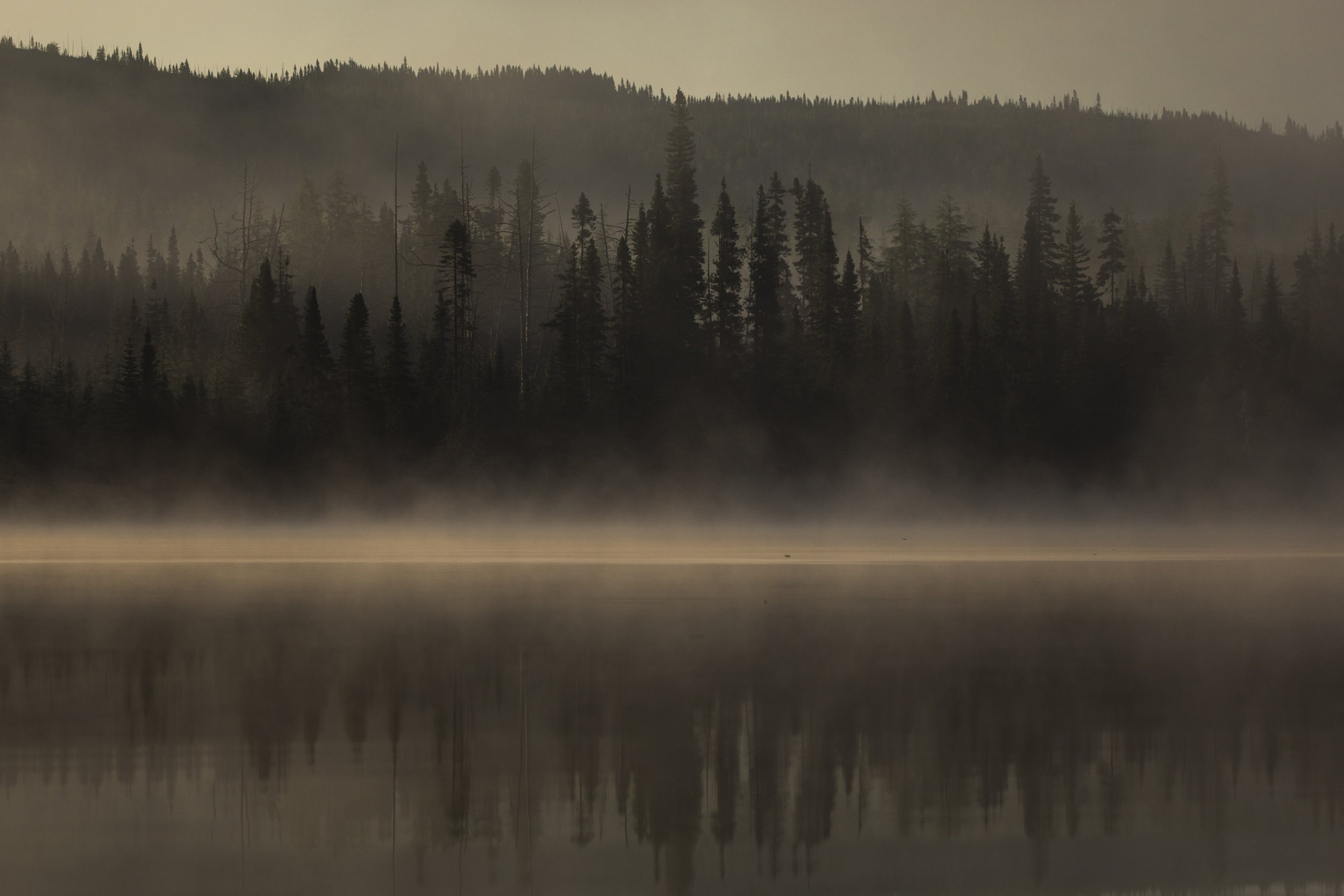 Paysage du Québec - Été 008
