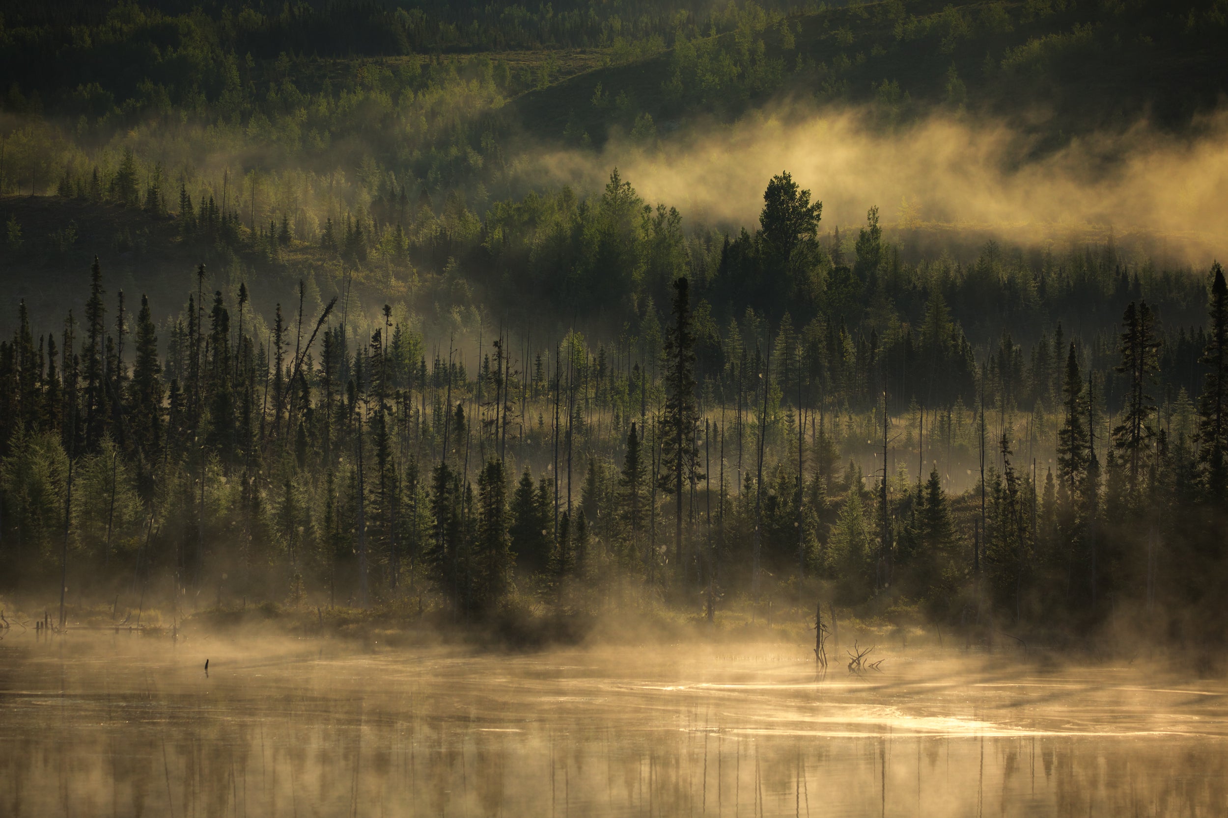 Paysage du Québec - Été 009