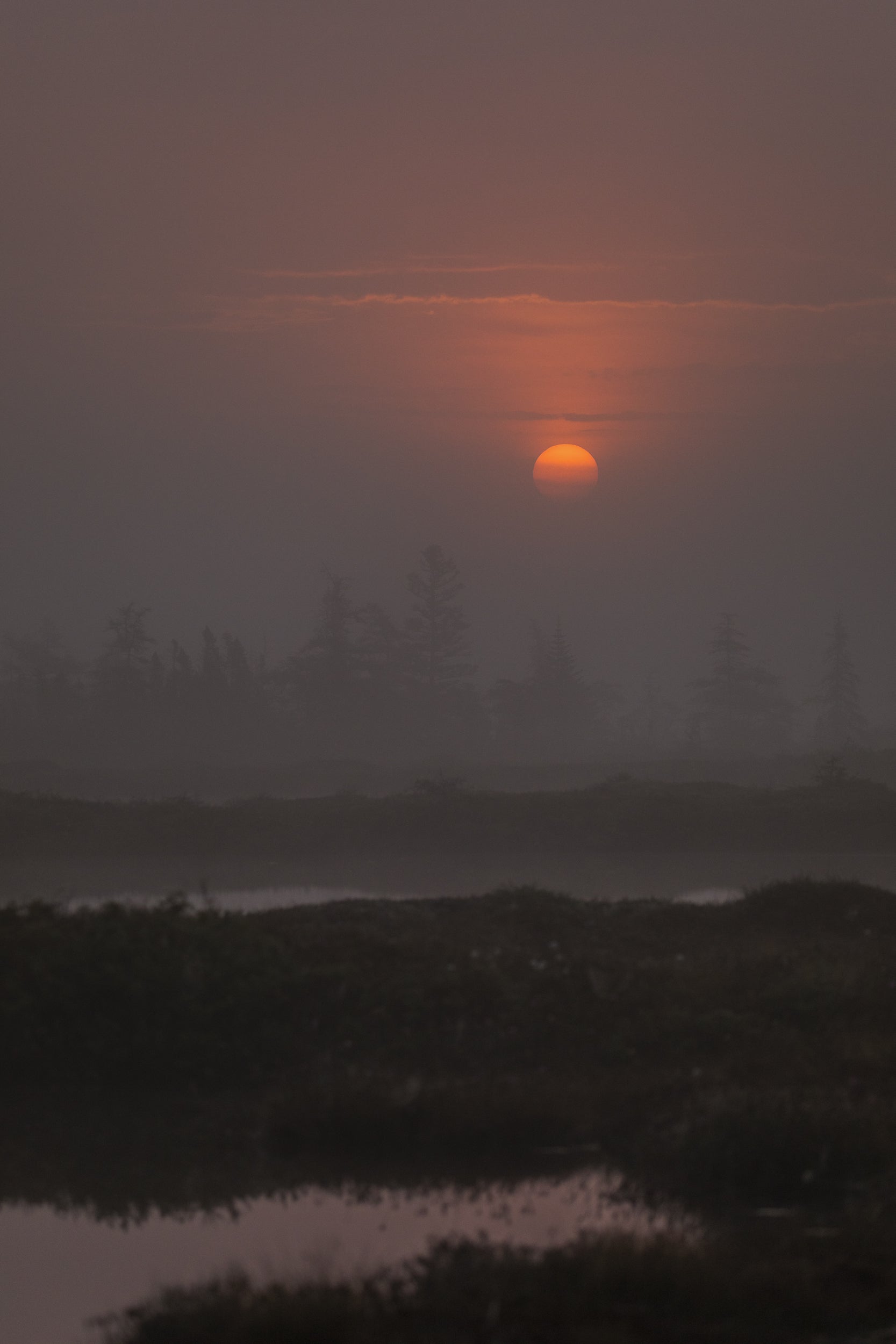 Paysage du Québec - Été 010